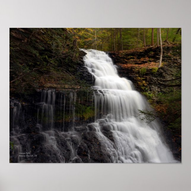 Ganoga Falls 14"x11" Poster (Front)