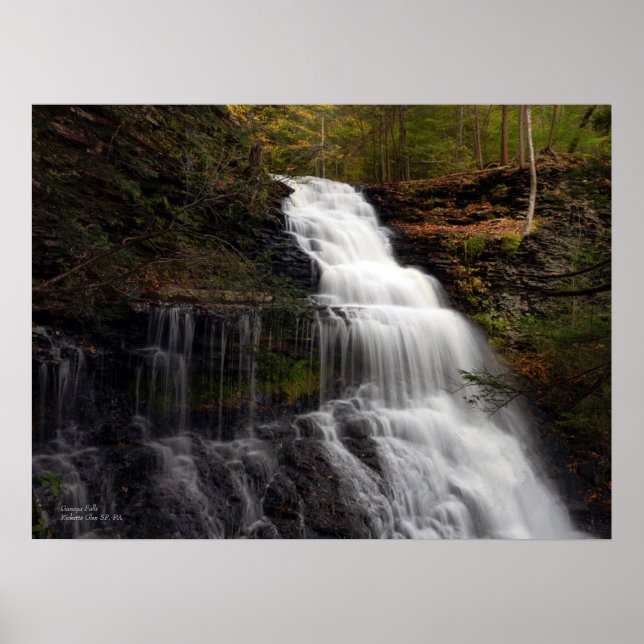 Ganoga Falls 24"x18" Poster (Front)