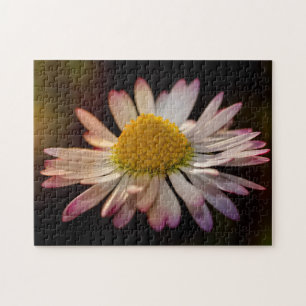 Gänseblümchen Jigsaw Puzzle