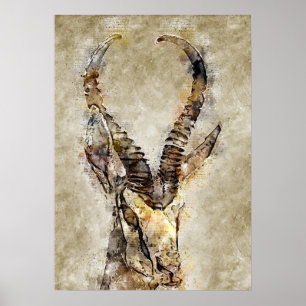 Gaqzelle Vintage Print Wall Art