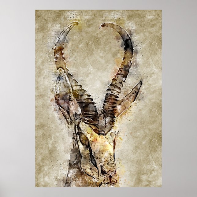 Gaqzelle Vintage Print Wall Art (Front)