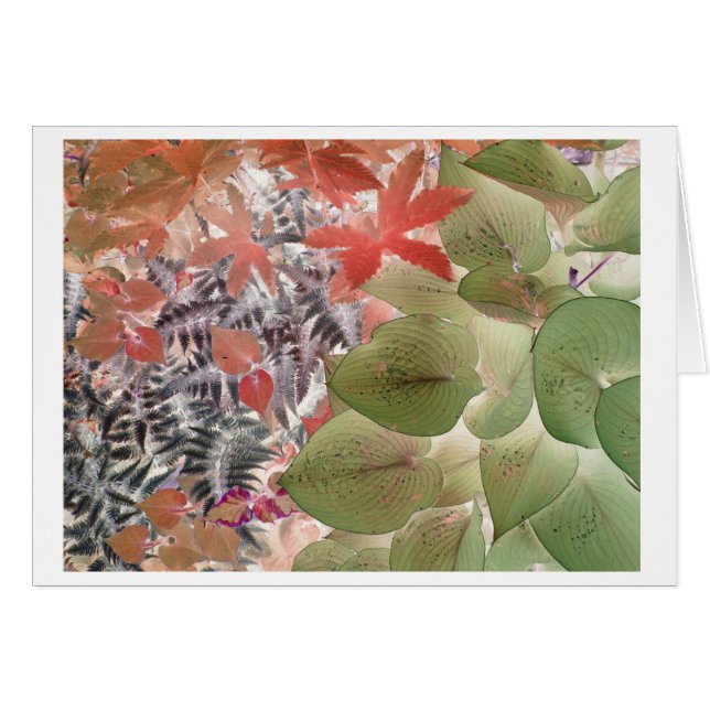 Garden 9 (Front Horizontal)