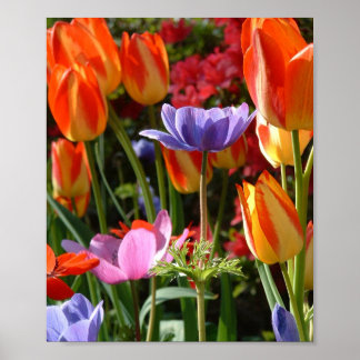Garden Beauty Poster