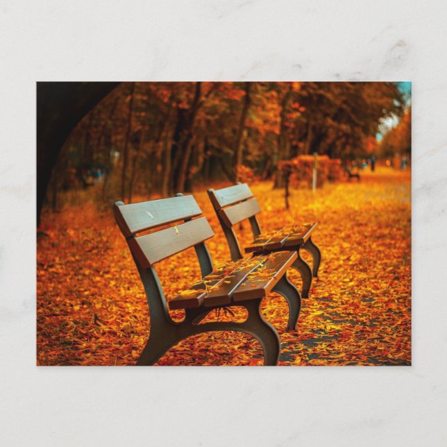 Garden Benches in the Autumn Postcard (Front)