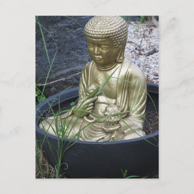 Garden Buddha Postcard (Front)
