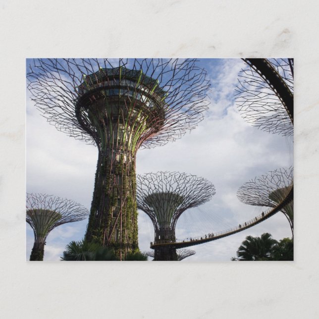 Garden By The Bay Postcard (Front)