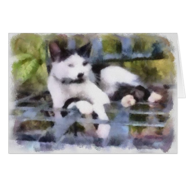 Garden Cat (Front Horizontal)