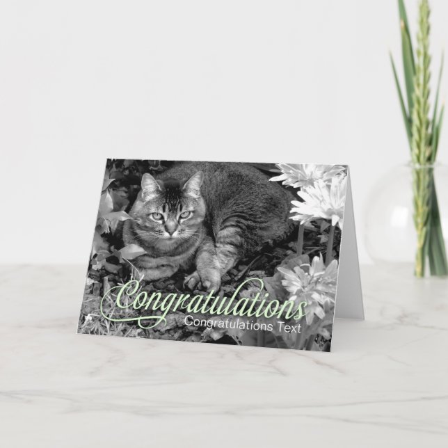 Garden Cat Blank Congratulations Card (Front)