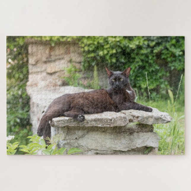 garden cat puzzle  (Horizontal)