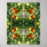 Garden Cherry Tomatoes Abstract Nature Art    
