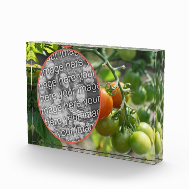 Garden Cherry Tomatoes Add Your Own  Photo Block (Right)