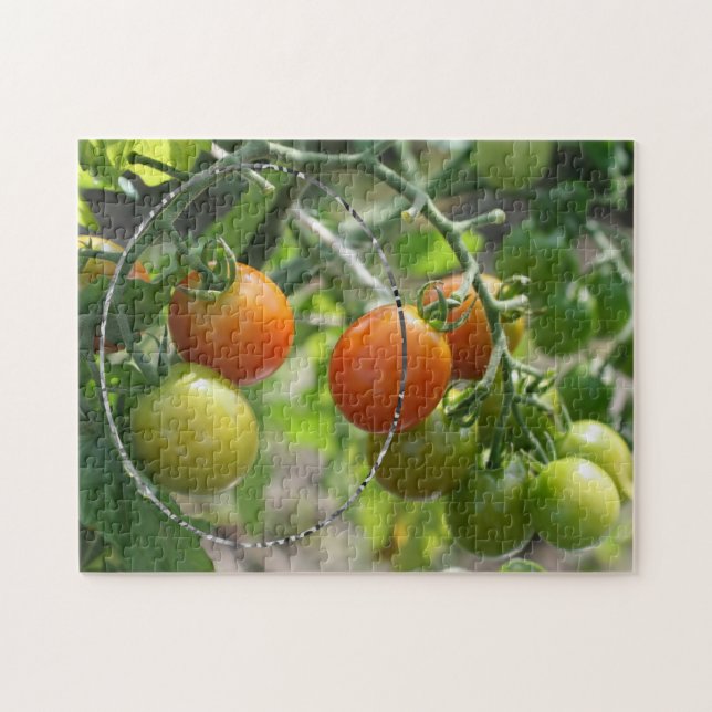 Garden Cherry Tomatoes Add Your Photo Jigsaw Puzzle (Horizontal)