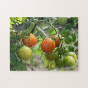 Garden Cherry Tomatoes Nature  Jigsaw Puzzle