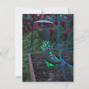 Garden Duck Postcard