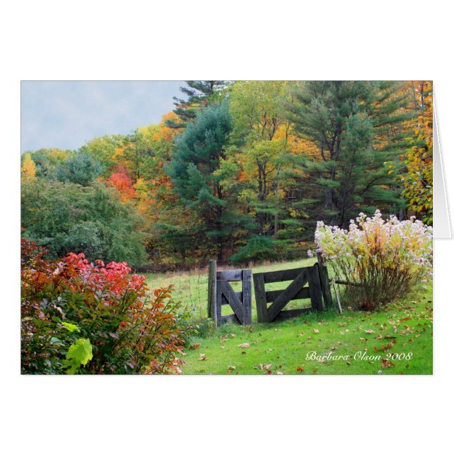 Garden: Every exit is an entry somewhere else (Front Horizontal)