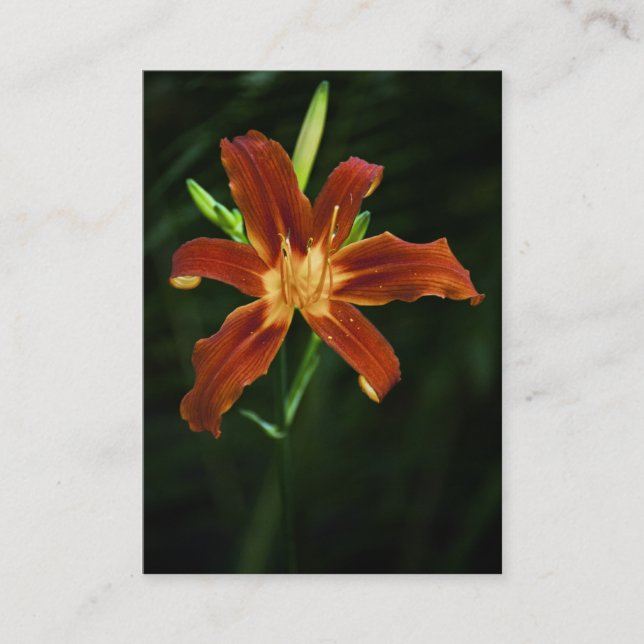Garden Flame Mini Print Business Card (Front)