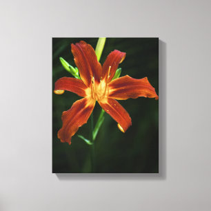 Garden Flame Wrapped Canvas