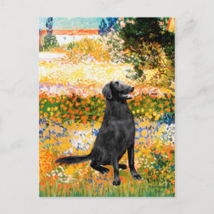 Garden - Flat Coated Retriever Postcard