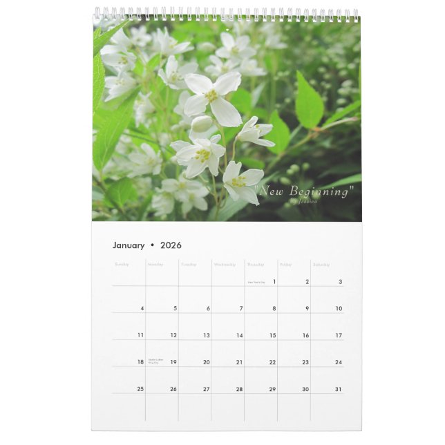 Garden Flower Calendar (Jan 2026)