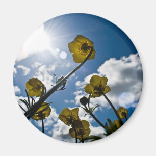 GARDEN FLOWER MAGNET