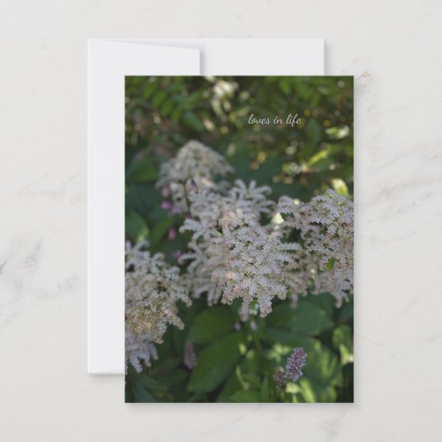 Garden Flowers Card (Front)