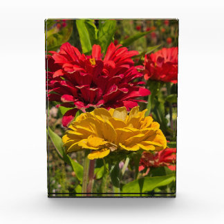 Garden flowers photo block