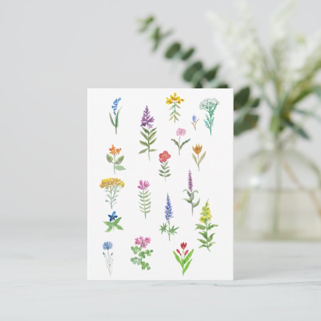 garden flowers postcard (Standing Front)