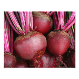 Garden Fresh Bunch of Beets Photo Print