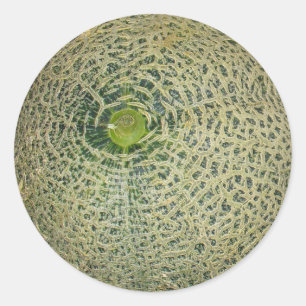 Garden Fresh Cantaloupe Classic Round Sticker