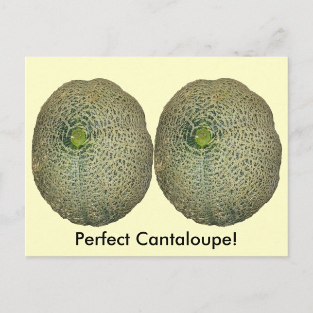 Garden Fresh Cantaloupe Postcard (Front)