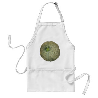 Garden Fresh Cantaloupe Standard Apron
