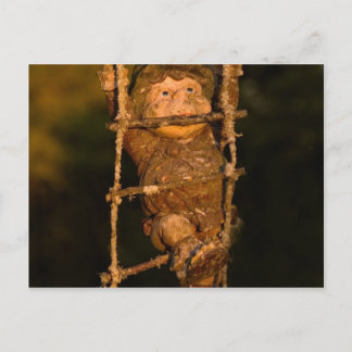 garden gnome postcard