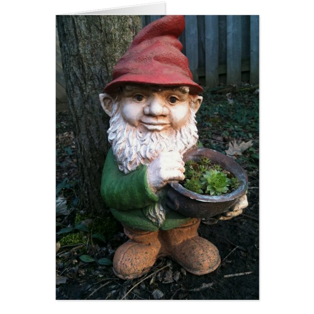 Garden Gnomes (Front)