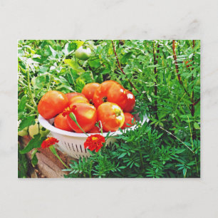Garden Goodies Postcard