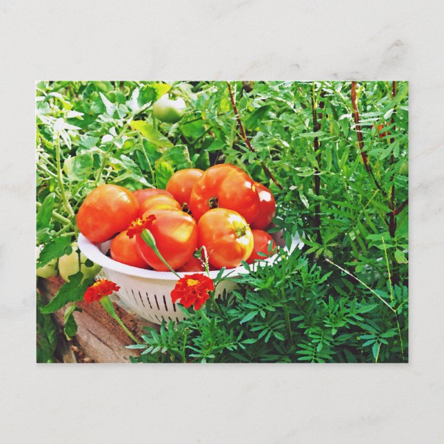 Garden Goodies Postcard (Front)