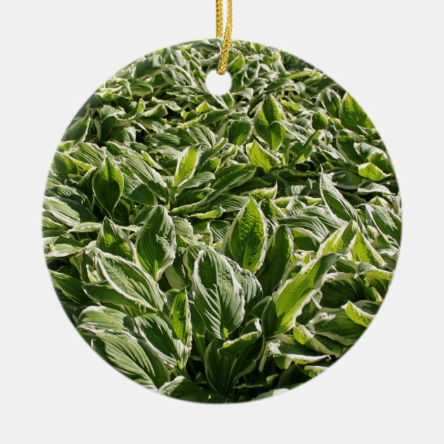 Garden Green Leaves Father's Day Plant Dad Gift Ceramic Tree Decoration (Front)