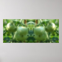 Garden Green Tomatoes Nature Mirror Abstract