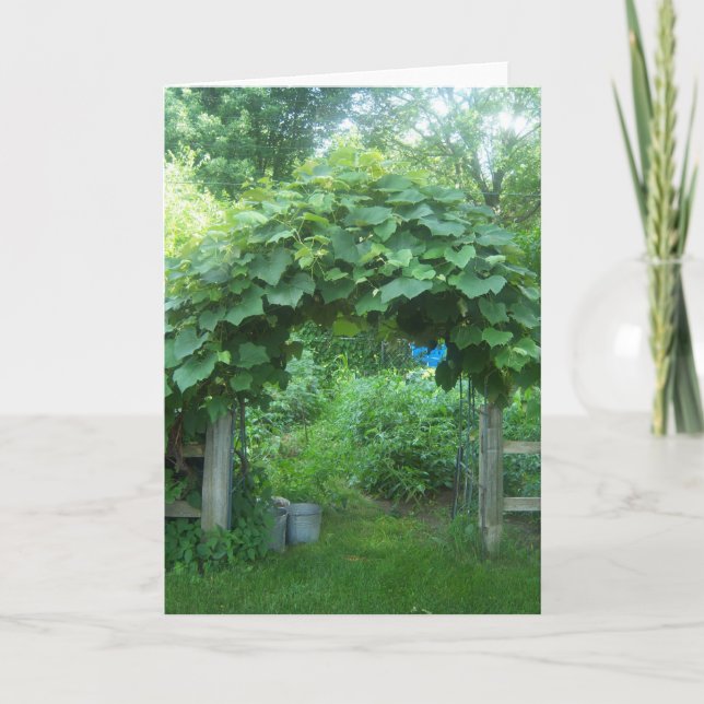 Garden Greeting Card (Front)