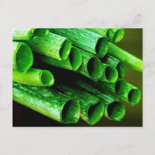 Garden Grown Leeks Postcard