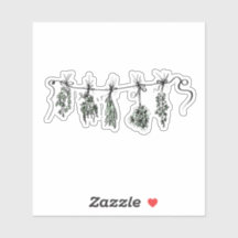 Garden Herbs botanical plant drawing