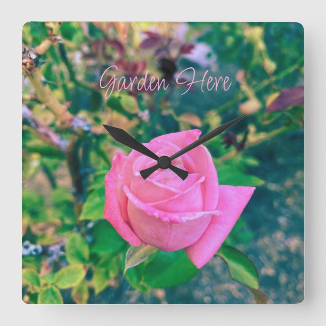 Garden Here Pink Rose Sign Square Wall Clock (Front)