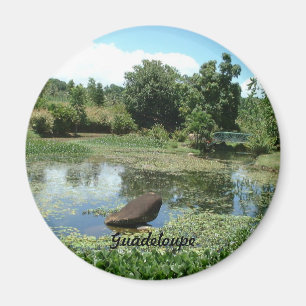 Garden in Guadeloupe Magnet