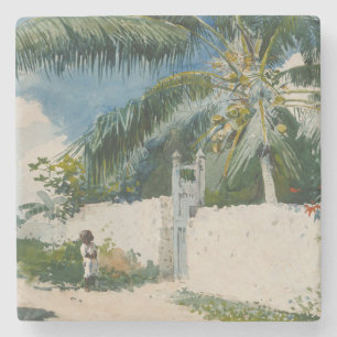 Garden in Nassau, the Bahamas (Caribbean Art) Stone Coaster