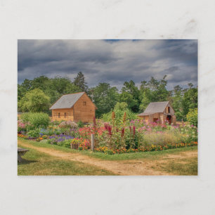 Garden in the Adirondacks Postcard