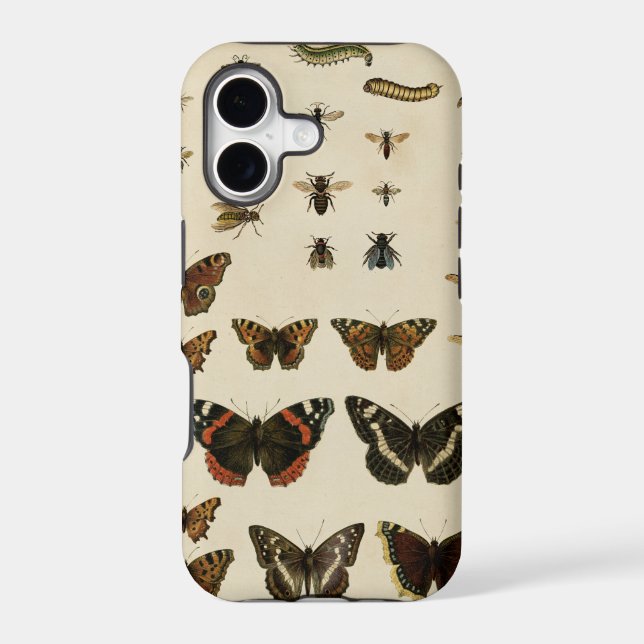Garden Insects by Vision Studio (Back)