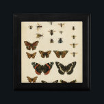 Garden Insects by Vision Studio Gift Box<br><div class="desc">This Vision Studio piece is an entomologists dream! Garden insects are drawn on a cream background,  shown in achingly beautiful detail. If you love insects this is the print for you!</div>