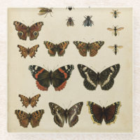 Garden Insects by Vision Studio