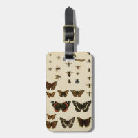 Garden Insects by Vision Studio