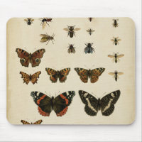 Garden Insects by Vision Studio