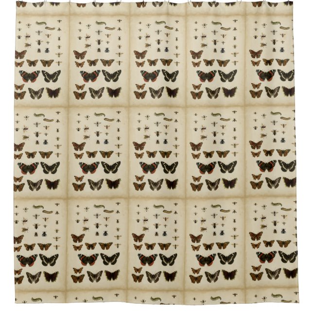 Garden Insects by Vision Studio Shower Curtain (Front)